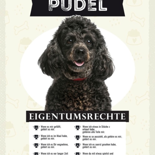 Schild Pudel Eigentumsrechte Hund Tier Liebe 12x18 20x30 30x40 Blech/Holz