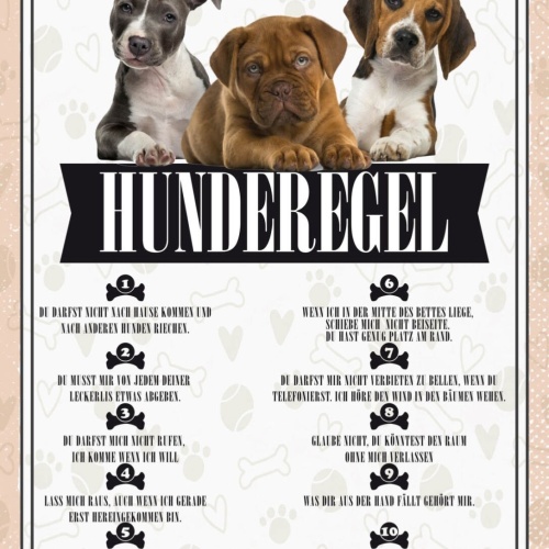 Schild Hunderegel Hund Haus Tier Liebe Zuhause 12x18 20x30 30x40 Blech/Holz