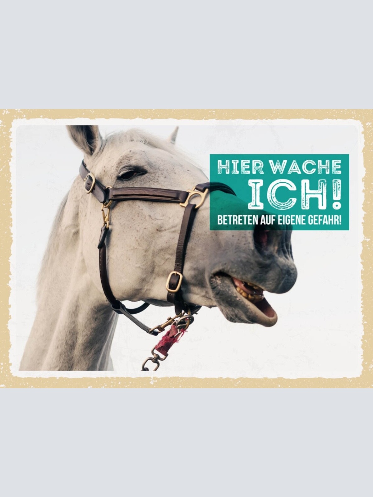 Schild Hier Wache Ich Pferd Schimmel Gefahr Tier 12x18 20x30 30x40 Blech/Holz