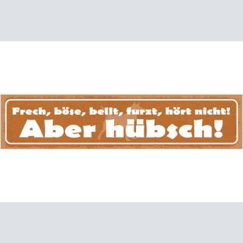 Schild frech böse bellt furzt hört nicht aber hübsch hund 46 x 10 blech od. holz