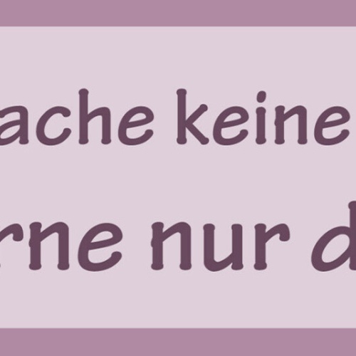 Schild Ich Mache Keine Fehler Ich Lerne Nur Dazu Perfekt 27 x 10 Blech od. Holz