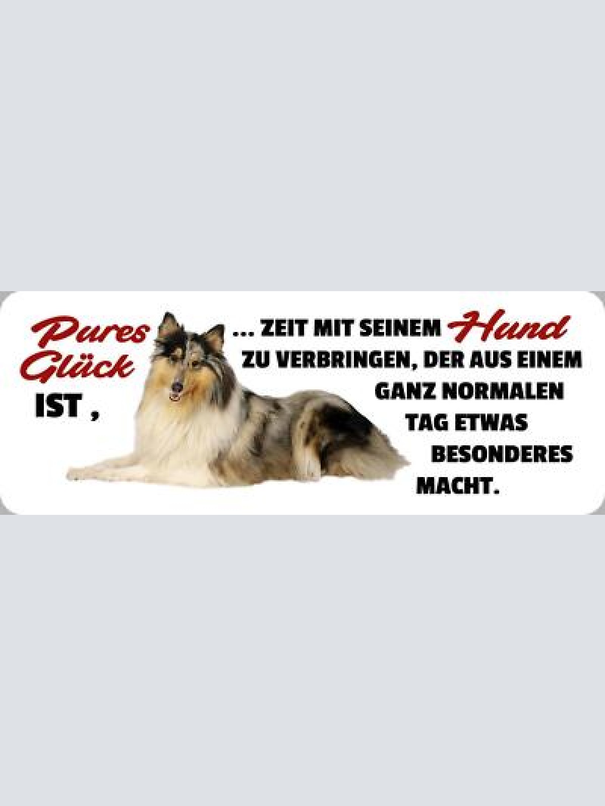 Schild pures glück ist zeit mit seinem hund zu verbringen tag etwas besonderes