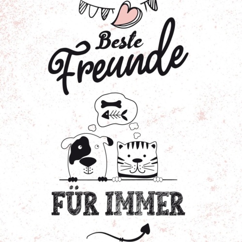 Schild Beste Freunde Für Immer Katze Hund Tiere 12x18 20x30 30x40 Blech/Holz