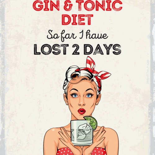 Schild I'm On The Gin & Tonic Diet Lost 2 Days 12x18 20x30 30x40 Blech/Holz
