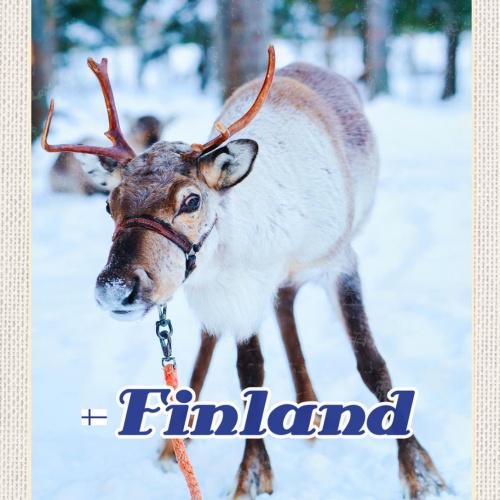 Schild Finland Finnland Rentier Schnee Wald Winter 12x18 20x30 30x40 Blech/Holz