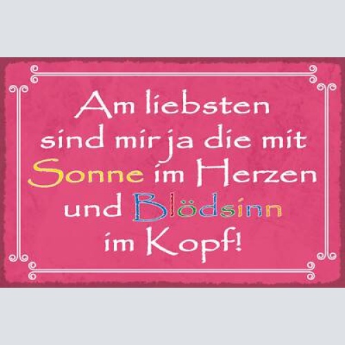 Nostalgie schild sonne herzen blödsinn kopf 12x18 / 20x30 / 30x40 blech od. holz
