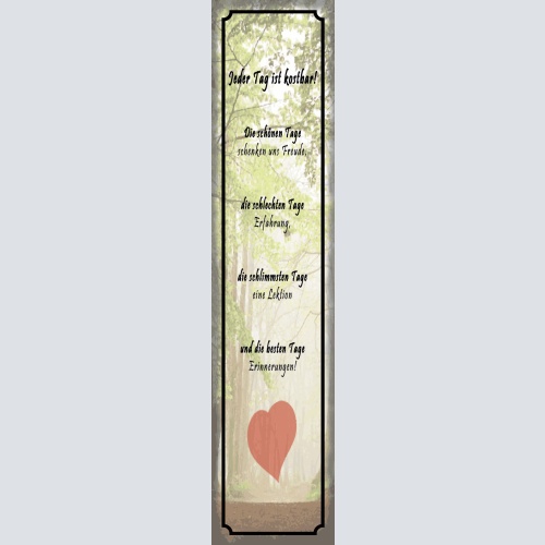 Schild Jeder Tag Ist Kostbar Freude Erfahrung Erinnerung 46 x 10 Blech od. Holz