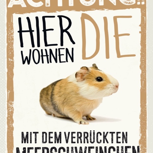 Schild Achtung Hier Wohnen Die Mit Meerschweinchen 12x18 20x30 30x40 Blech/Holz