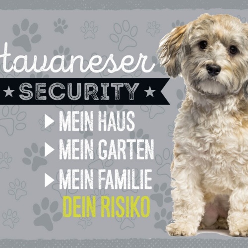 Schild Havaneser Security Hund Haus Garten Risiko 12x18 20x30 30x40 Blech/Holz