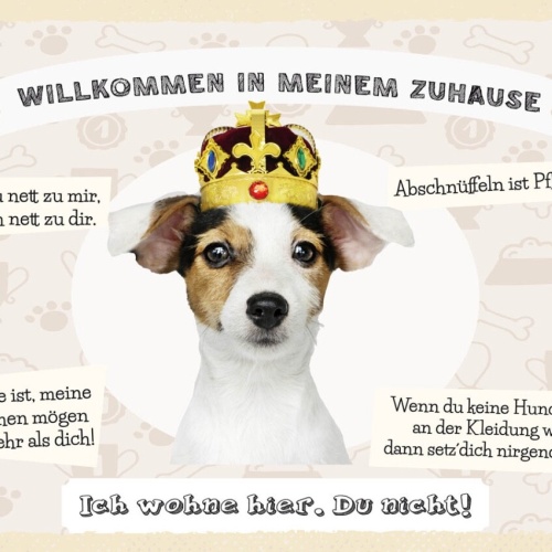 Schild Willkommen Zuhause Jack Russel Terrier Hund 12x18 20x30 30x40 Blech/Holz