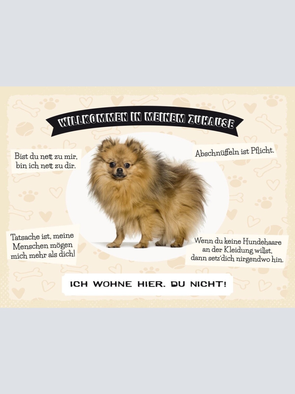 Schild Willkommen In Meinem Zuhause Spitz Hund 12x18 20x30 30x40 Blech/Holz