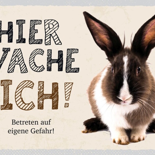 Schild Hier Wache Ich Kaninchen Gefahr Hase Tier 12x18 20x30 30x40 Blech/Holz