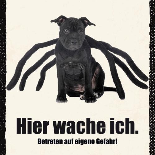 Schild Hier Wache Ich Staffordshire Bull Terrier 12x18 20x30 30x40 Blech/Holz