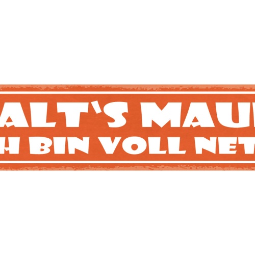 Schild Halt's Maul Ich Bin Voll Nett Freundlich Beschimpfen 46x10 Blech od. Holz