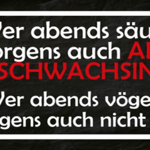 Schild Wer Abends Säuft Kann Morgens Arbeiten Ist Schwachsinn Vögelt Fliegen