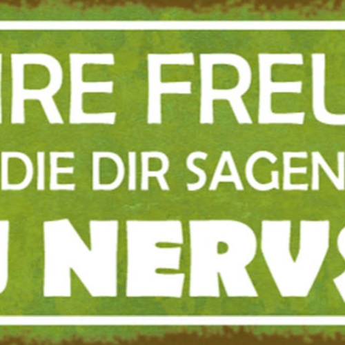 Schild Wahre Freunde Sind Die Die Dir Sagen Wenn Du Nervst 27x10 Blech od.Holz
