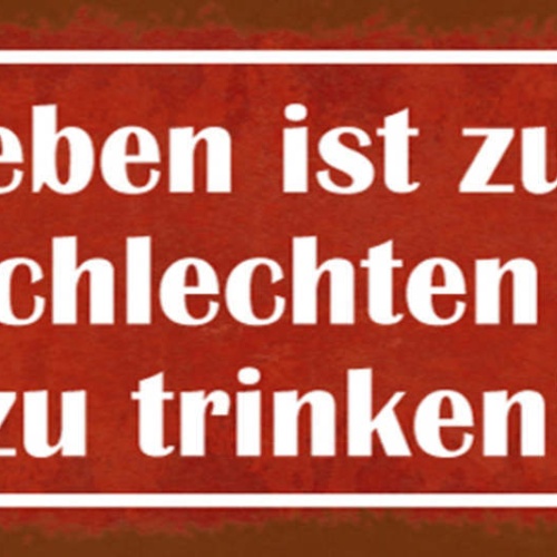 Schild Das Leben Ist Zu Kurz Um Schlechten Wein Zu Trinken 27x10 Blech od.Holz