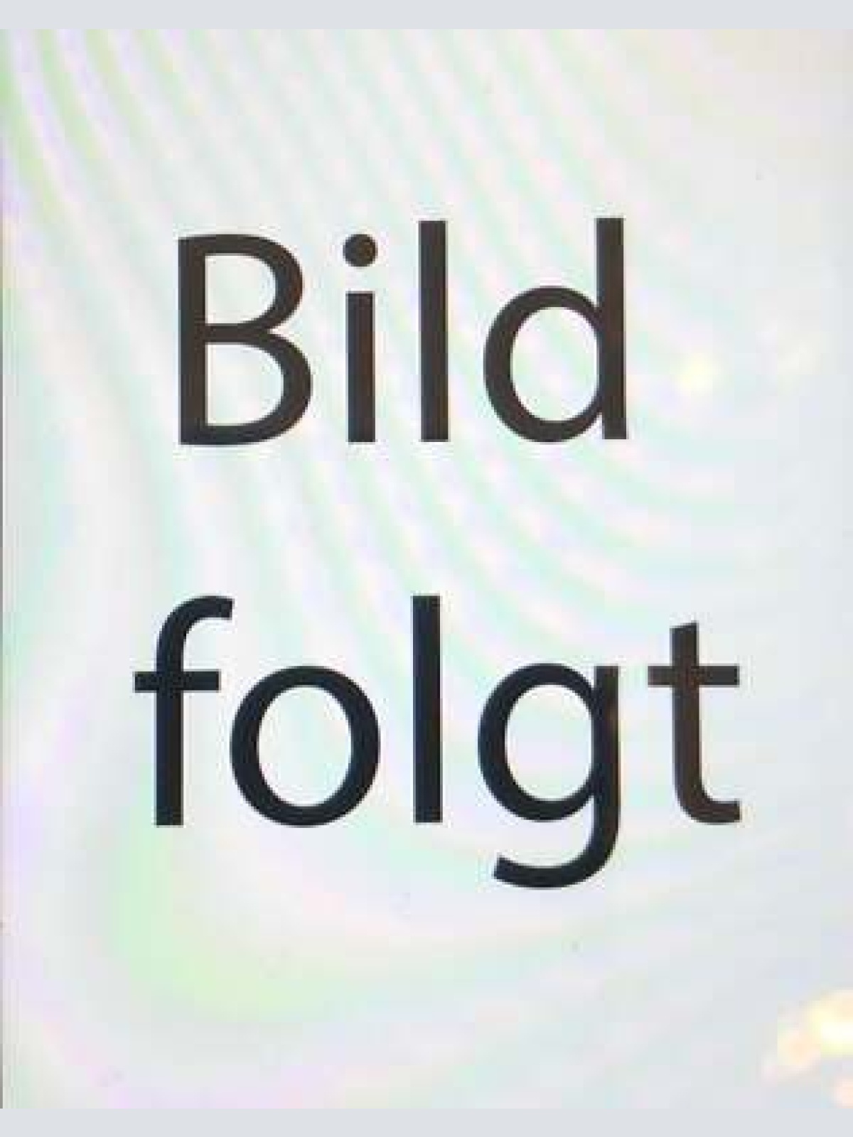 Nostalgie Holzschild Bayern   Metzgermeister