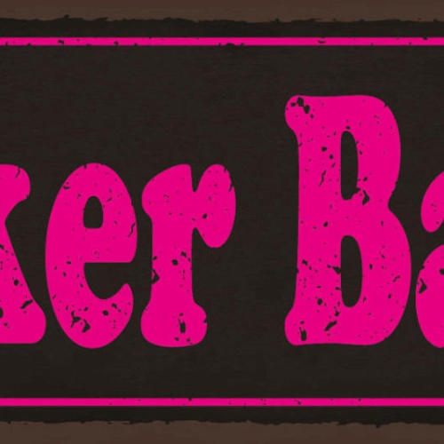 Schild Biker Babe Motorrad Fahrerin Bikerin Frau Bike Moped 27x10 Blech od.Holz