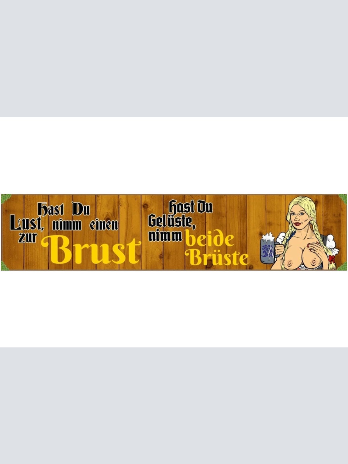 Schild Brust Brüste Frau Dirndl Tracht Bier Zöpfe Blond 46 x 10 Blech od. Holz