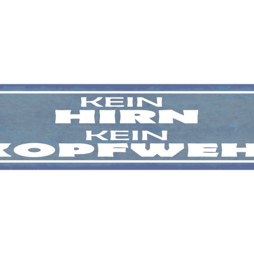 Schild Kein Hirn Kein Kopfweh Schmerzen Gehirn Migräne  46 x 10 Blech od. Holz