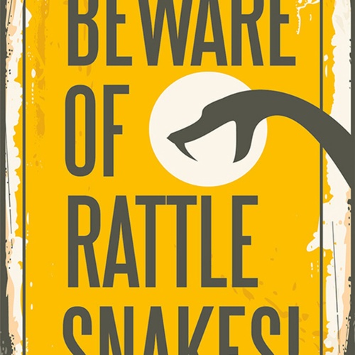 Schild Spruch Beware of Rattle Snakes Vorischt vor Klapperschlangen Comic JW