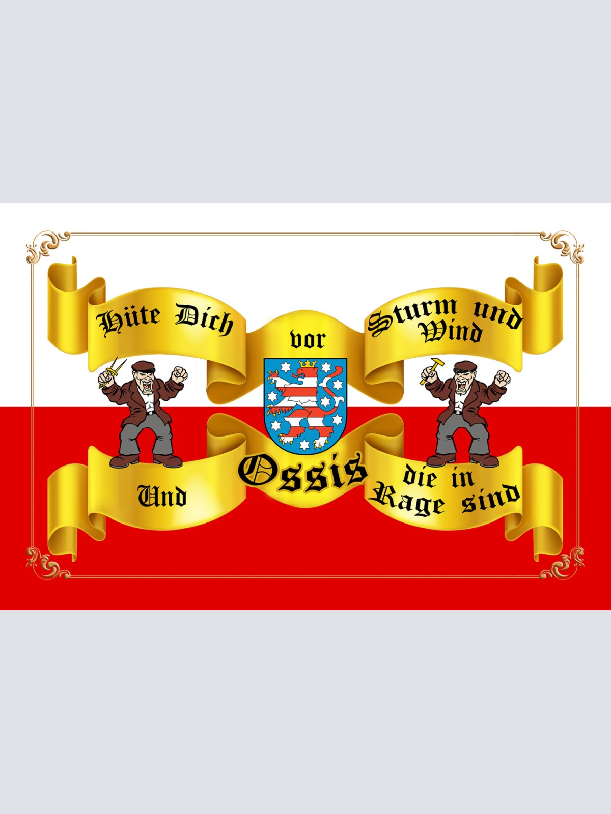 Schild Spruch Hüte dich vor Strum und Wind und Ossis die in Rage sind DDR JW