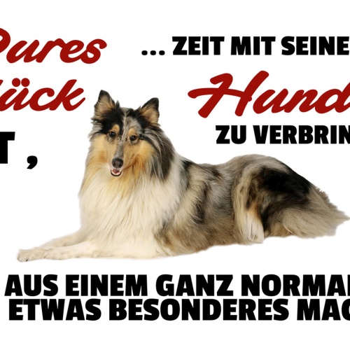 Schild Spruch Pures Glück ist Zeit mit seinem Hunde zu verbringen JW