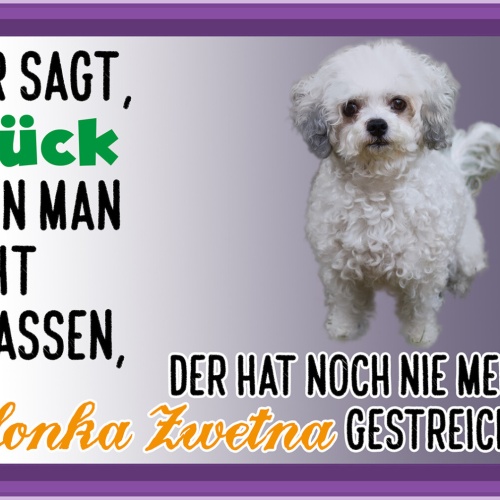 Schild Spruch Wer sagt Glück kann nicht anfassen Bolonka Zwetna gestreichelt JW