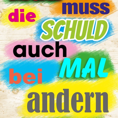 Schild Spruch Man muss die Schuld auch mal bei anderen suchen JW