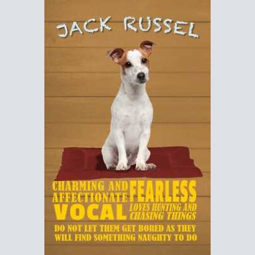 Schild spruch jack russel steckbrief fearless mutig hund jw