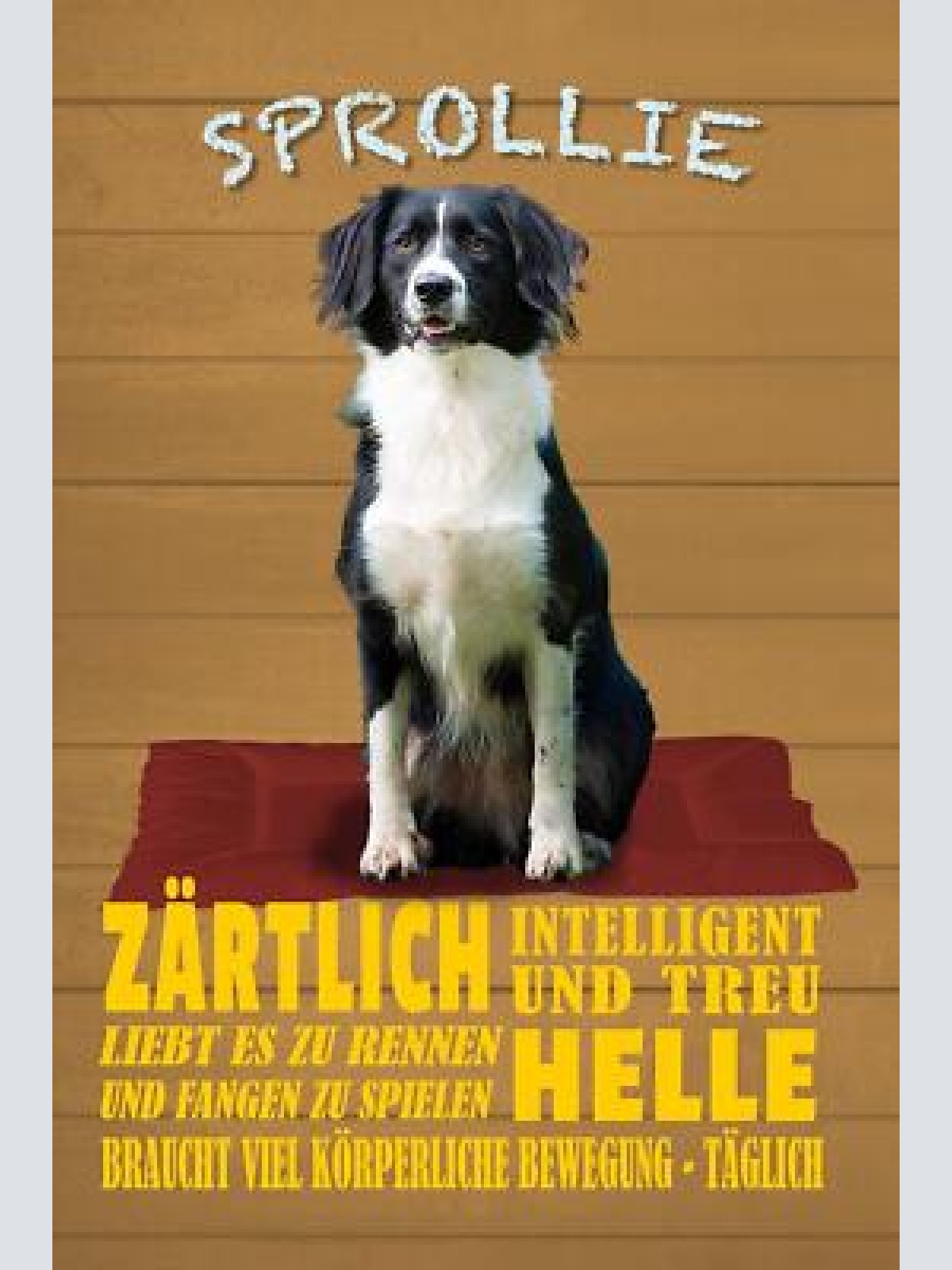 Schild spruch sprollie steckbrief zärtlich helle intelligent hund jw