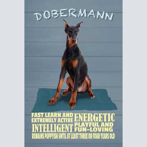 Schild spruch dobermann steckbrief playful verspielt hund jw
