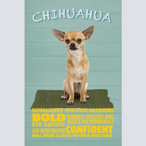 Schild spruch chihuahua steckbrief confident selbstsicher hund jw