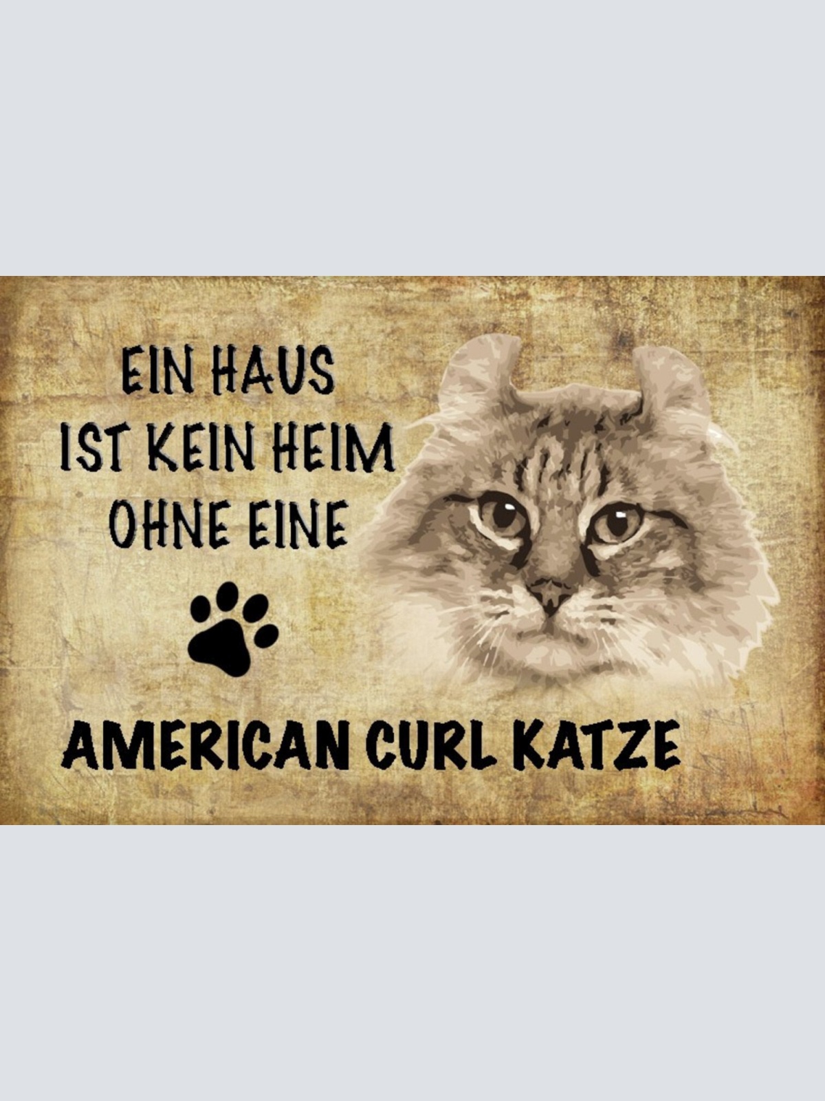Schild Spruch Haus ist kein Heim ohne American Curl Katze JW