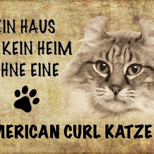 Schild Spruch Haus ist kein Heim ohne American Curl Katze JW