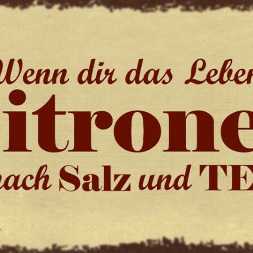 Schild Wenn Dir Das Leben Zitronen Gibt Frag Nach Salz & Tequila Alkohol 27x10