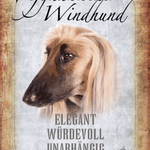 Schild Spruch Haus ist keine Heim ohne Afghanischer Windhund JW