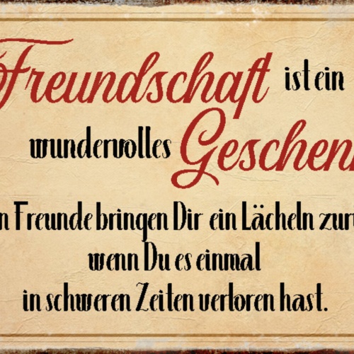 Schild Spruch Freundschaft ist ein wundervolles Geschenk Liebe JW