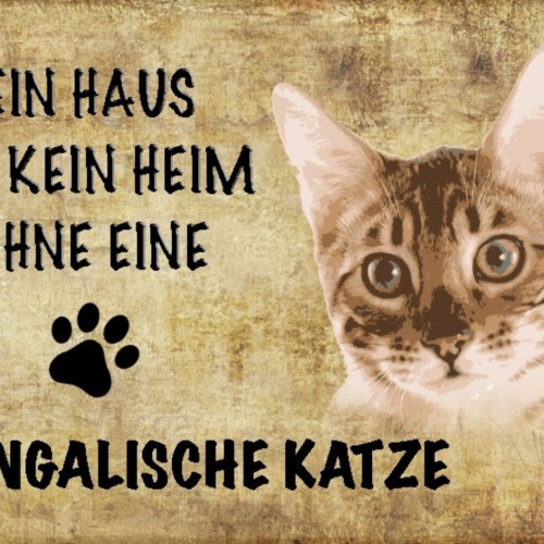 Schild Spruch Haus ist kein Heim ohne Bengalische Katze JW