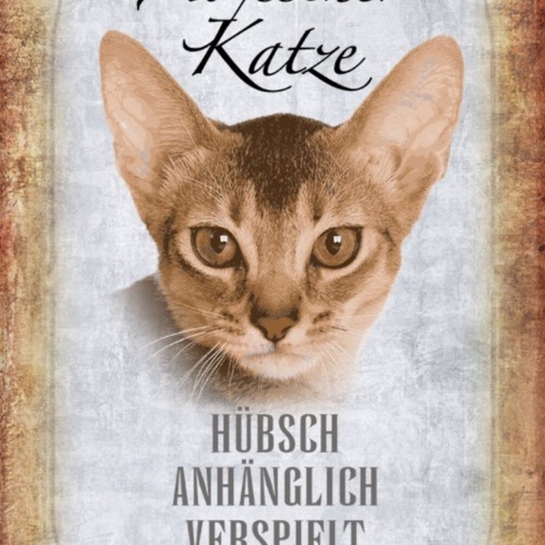 Schild Spruch Abyssiner Katze Steckbrief Hübsch Verspiel Ruhig JW