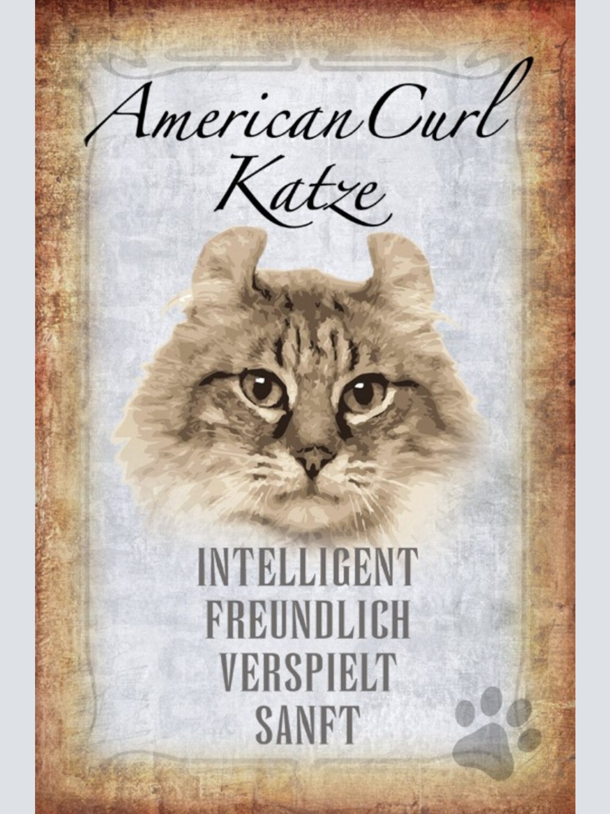 Schild Spruch American Curl Katze Steckbrief Intelligent Freundlich Sanft JW