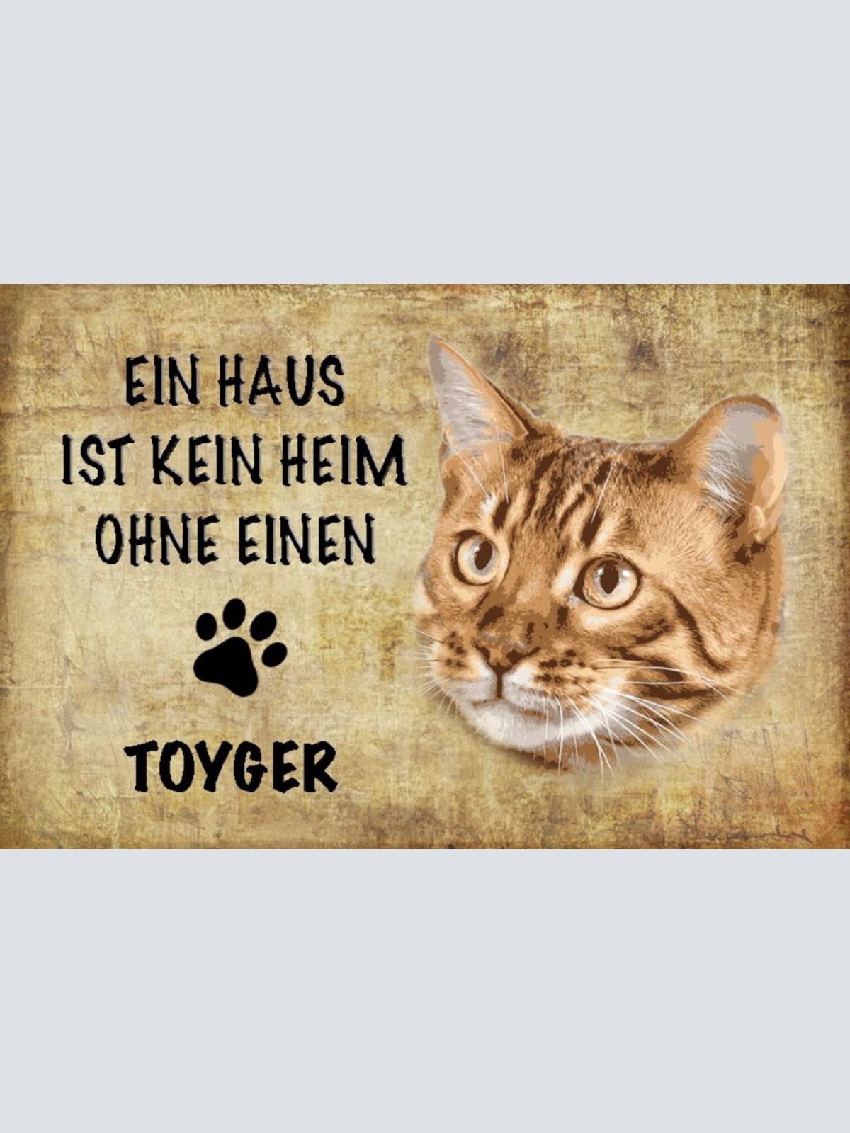 Schild Spruch Haus ist kein Heim ohne Tyoger Katze JW