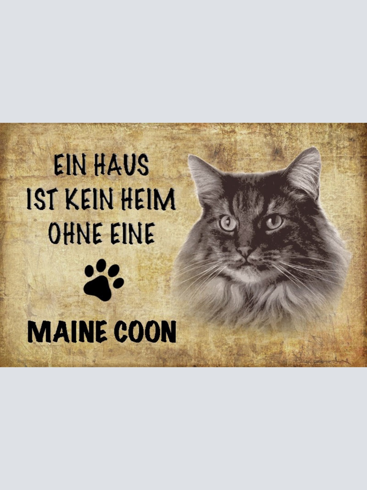 Schild Spruch Haus ist kein Heim ohne Maine Coon Katze JW