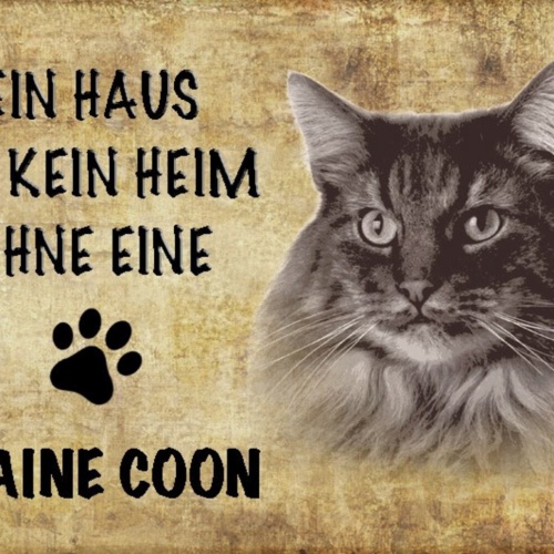 Schild Spruch Haus ist kein Heim ohne Maine Coon Katze JW