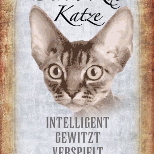 Schild Spruch Devon Rex Katze Steckbrief Intelligent Gewitzt JW