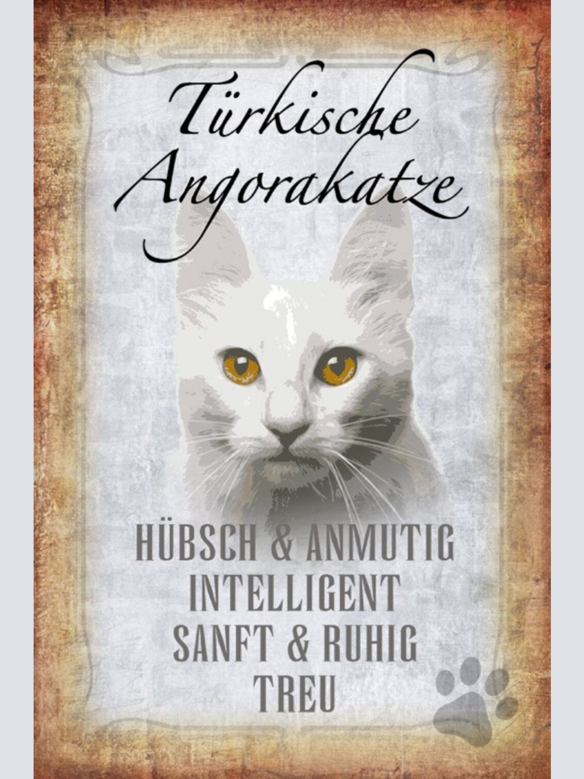 Schild Spruch Türkische Angorakatze Steckbrief Hübsch Intelligent Sanft JW