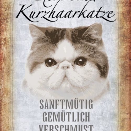 Schild Spruch Exotische Kurzhaarkatze Steckbrief Sanftmütig Gemütlich JW