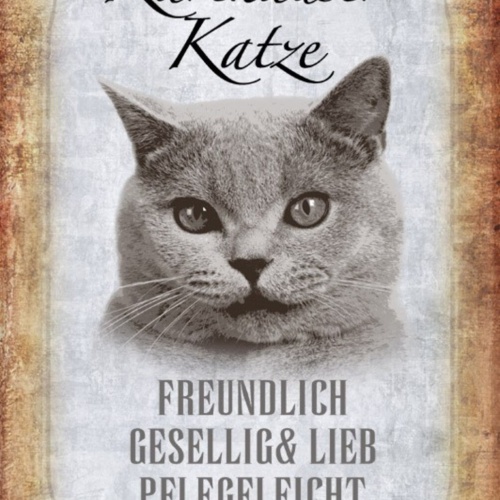 Schild Spruch Karthäuser Katze Steckbrief Freundlich Gesellig JW