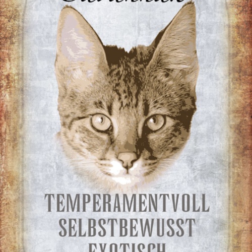 Schild Spruch Savannah Katze Steckbrief Temperamentvoll Selbstbewußt JW